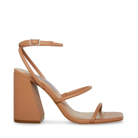 Brown Steve Madden Kinsley Women's Heels Sandals | PH 0432KVU